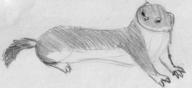 Unnamed_character pencil_sketch sketch weasel // 796x365 // 20.0KB