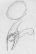 author_fancy author_like butt doodle feline felyne pencil pencil_sketch sketch // 309x468 // 12.8KB