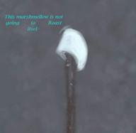 author_like cook_itself fire marshmallow mypaint realism sequence silly spontaneous_combustion stick // 570x554 // 8.6KB