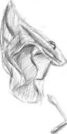 author_indifferent object pencil_sketch q-tip rag // 242x481 // 45.5KB